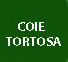 UNED-COIE-TORTOSA